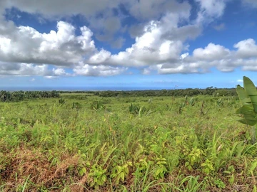 Agricultural Land
