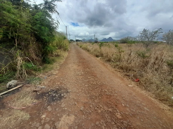 Agricultural Land