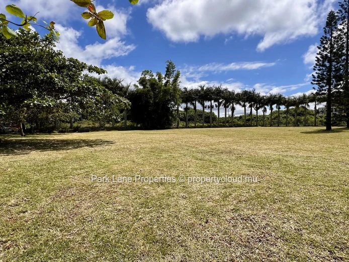 Your perfect 17 m² office: Nature, comfort & convenience in Phoenix