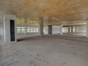 Immobilier Commerciaux