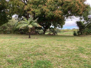 Olivia's Enchanting Land