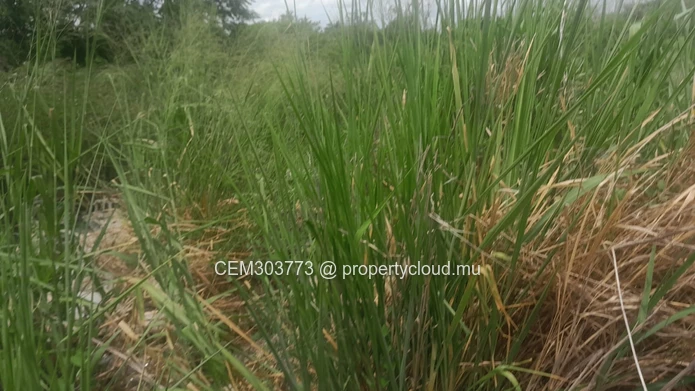 Terrain industriel 10 arpents à vendre – Petite Rivière