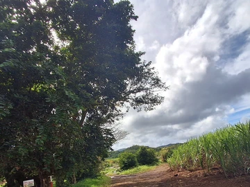 Agricultural Land