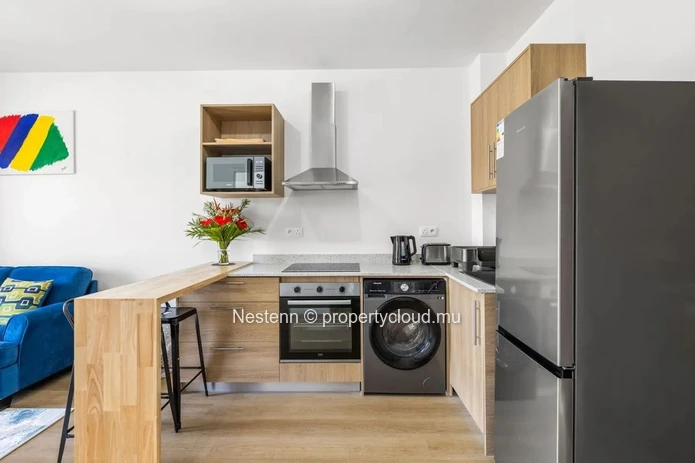 Appartement 1 chambre 