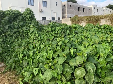 Residential Land