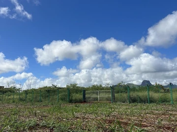 Commercial Land