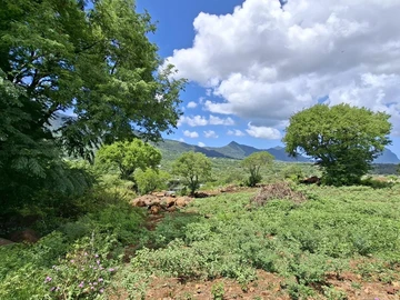 Residential Land
