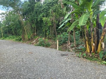 Residential Land