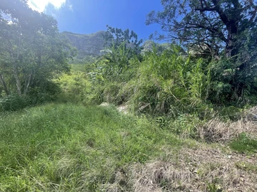 Agricultural Land