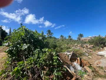 Land