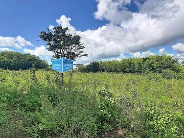 Land