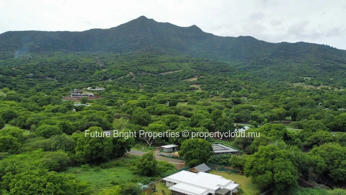 Terrain Résidentiel à Vendre – Domaine de Palmyre, Petite Rivière Noire (Mandat exclusif)