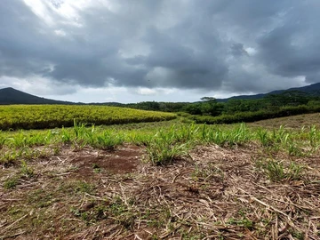 Terrain Agricole