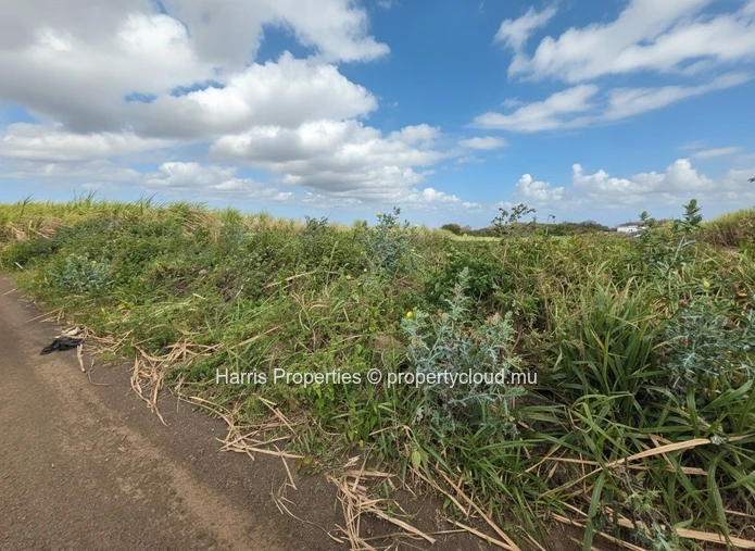 Terrain agricole de 40 perches à vendre