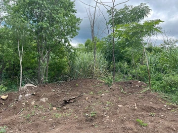 Residential Land