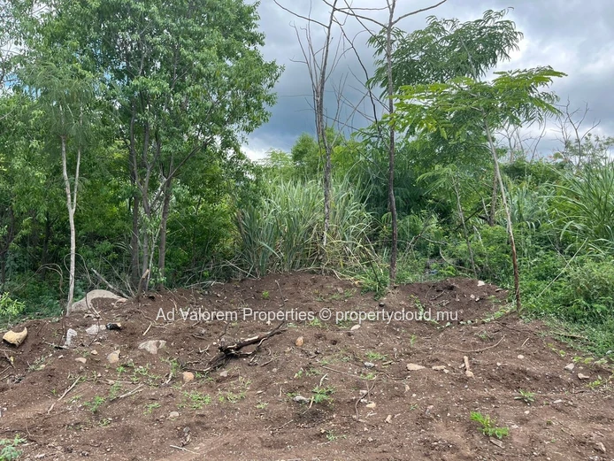 1,500m² Residential Land for Sale in Black River
