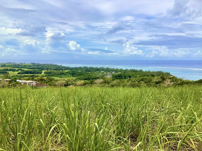 Terrain de 35 981 m2 avec vue époustouflante sur tout le Sud sauvage, idéal pour un projet immobilier