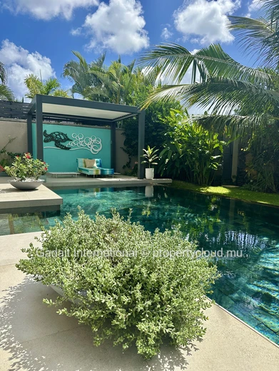 Villa contemporaine avec piscine à débordement et pergola bioclimatique à Grand Baie