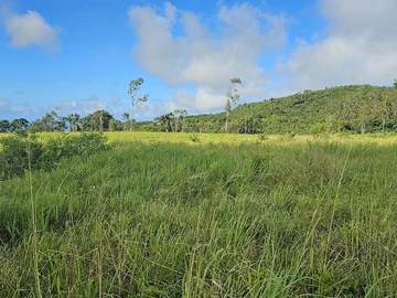 Residential Land