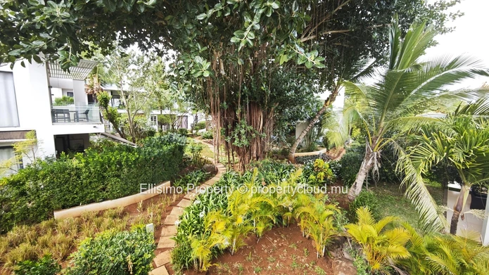 Charming Townhouse in Azuri