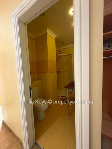 Penthouse spacieux de 334 m² à vendre à Quatre Bornes