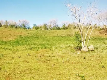 Terrain Agricole