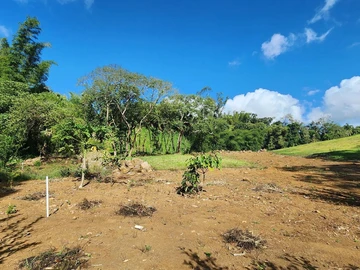 Land