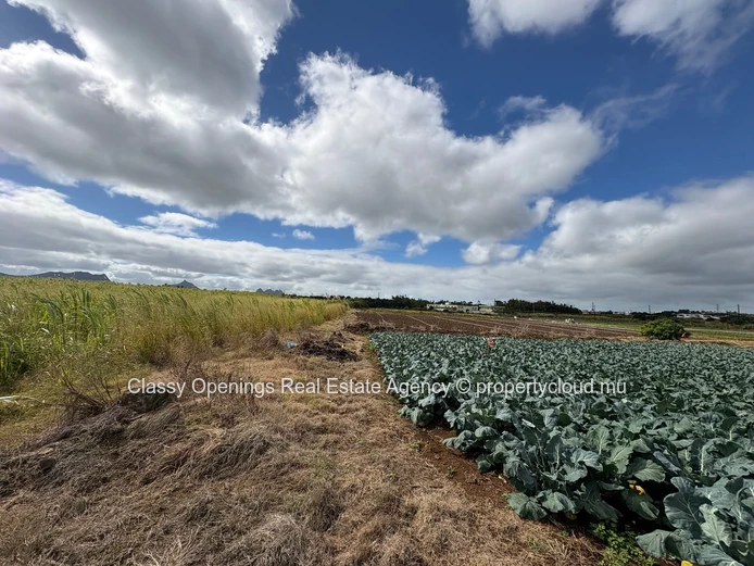 2110 m² Phoenix Commercial Land — Mountain Views, Near Bus & Shops