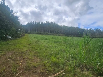Agricultural Land