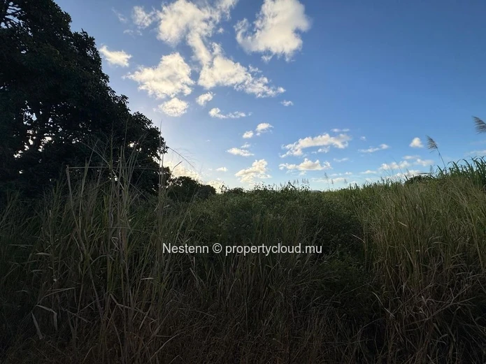 Terrain agricole de première qualité à vendre – 1 729,80 m² à Mare d'Albert