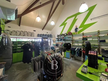 Commercial Property