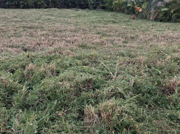 Residential Land