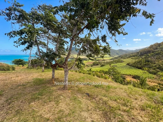 Terrain exclusif à flanc de colline avec vues sur la côte et la montagne 