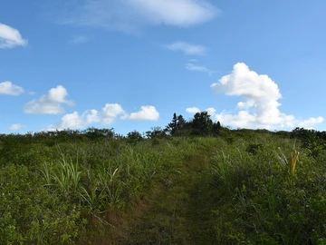 Terrain Agricole