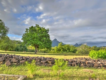 Residential Land
