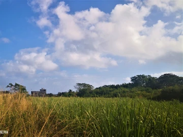 Land