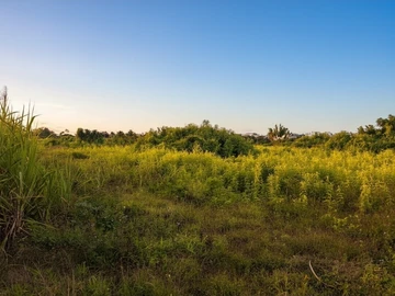 Agricultural Land