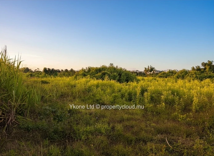 Terrain Agricole En Vente À Quartier Militaire