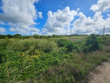 Residential Land