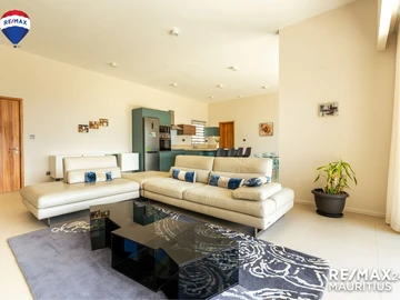 3 Bedroom Penthouse