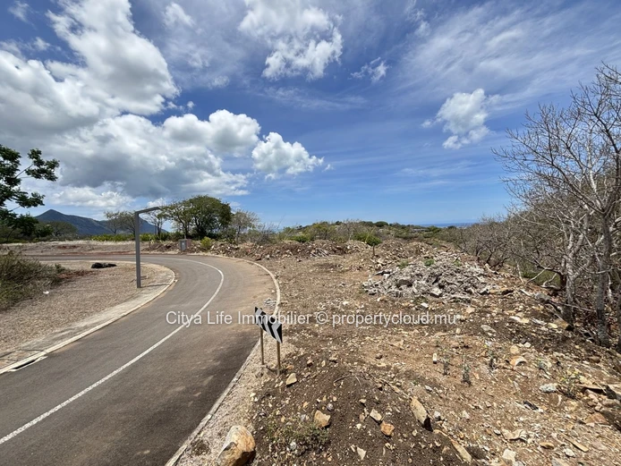 Land for Sale Black River Palmyre
