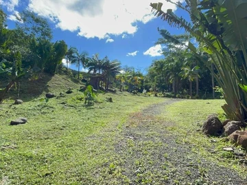 Stunning plot of land in the heart of nature