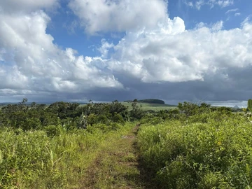 Agricultural Land