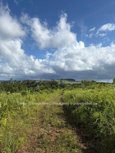 Terrain agricole 3,63 ha à Espérance — Sentier et vue montagne