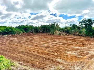 Agricultural Land