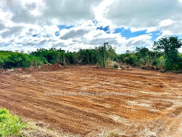 Parcelle agricole à vendre – Réunion Maurel, Petit Raffray