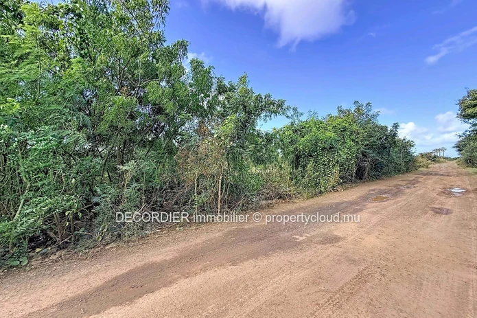 Agricultural Land for Sale – Saint Antoine