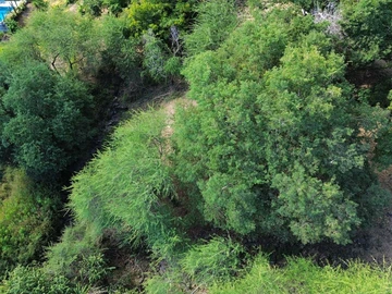 Residential Land