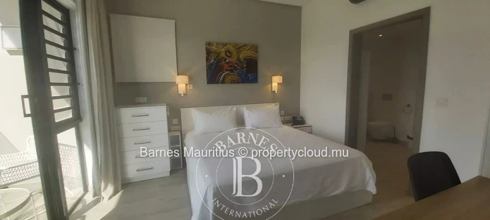 RÉDUIT - Penthouse neuf avec ascenseur - 1 chambre