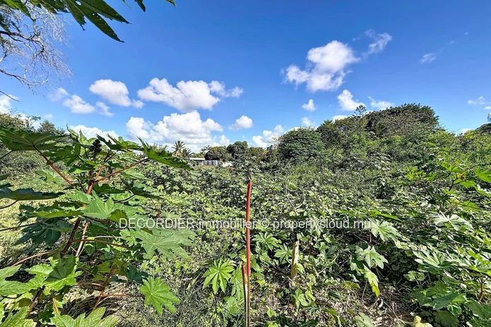 Residential Land for Sale – Pereybère
